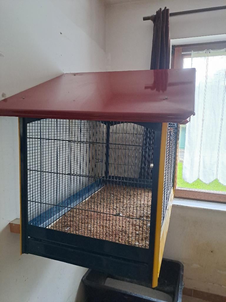 Cage d'oiseaux, Animaux & Accessoires, Oiseaux | Cages & Volières, Enlèvement