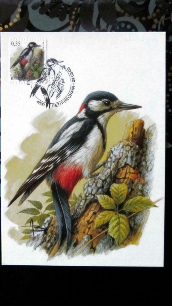 FIRST DAY OP KAART- VOGELS VAN BUZIN- DE GROTE BONTE SPECHT, Ophalen of Verzenden, Gestempeld, Dier of Natuur