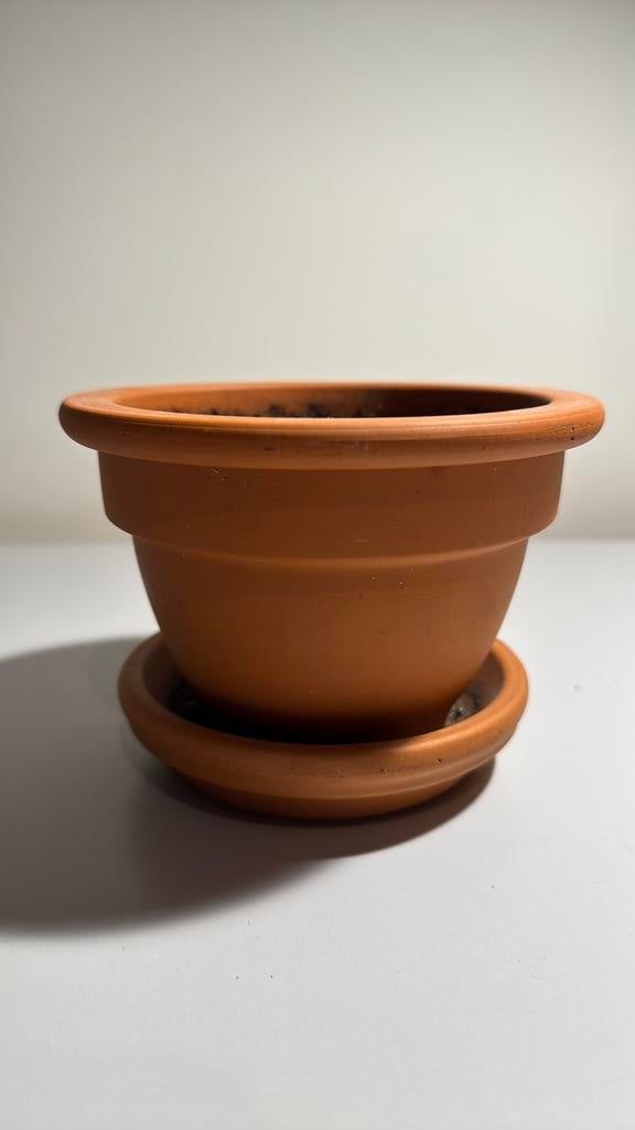 Terracotta bloempot met schaal, Tuin en Terras, Ophalen, Zo goed als nieuw, Terracotta