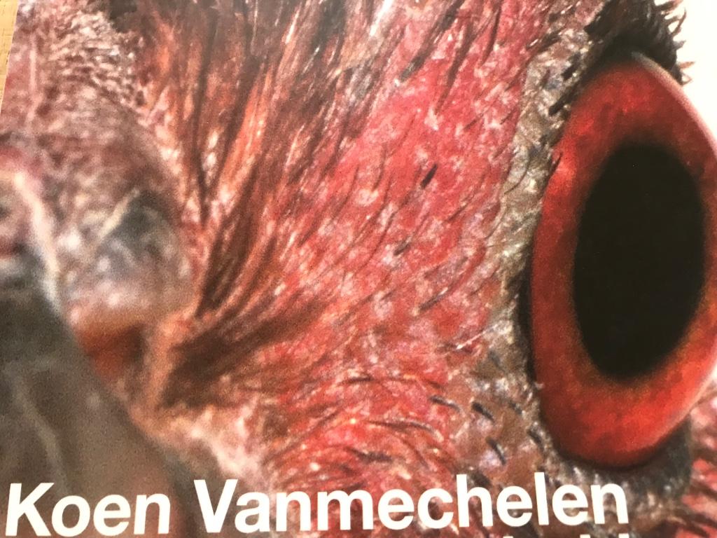 Koen Vanmechelen Sculptures 90 pag, Ophalen of Verzenden, Zo goed als nieuw, Beeldhouwkunst