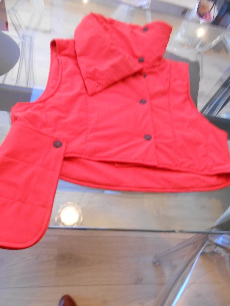 Sarah Pacini, Sarah Pacini, Ophalen of Verzenden, Zo goed als nieuw, Rood