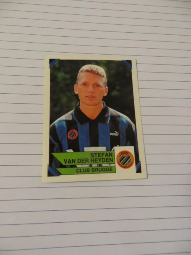 Voetbal: Sticker football 95 : Stefan Van Der Heyden -Brugge, Ophalen of Verzenden, Nieuw, Sticker