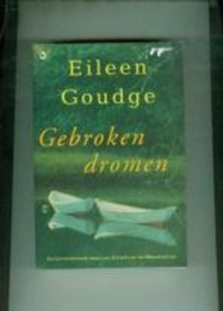Gebroken dromen eileen goudge 384 blz, Boeken, Ophalen of Verzenden, Zo goed als nieuw