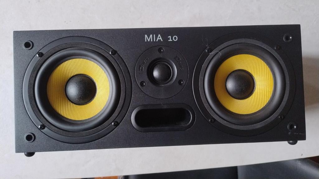 Davis akoestische Mia 10 middenluidspreker, Audio, Tv en Foto, Luidsprekerboxen, Overige merken, Gebruikt, Ophalen of Verzenden