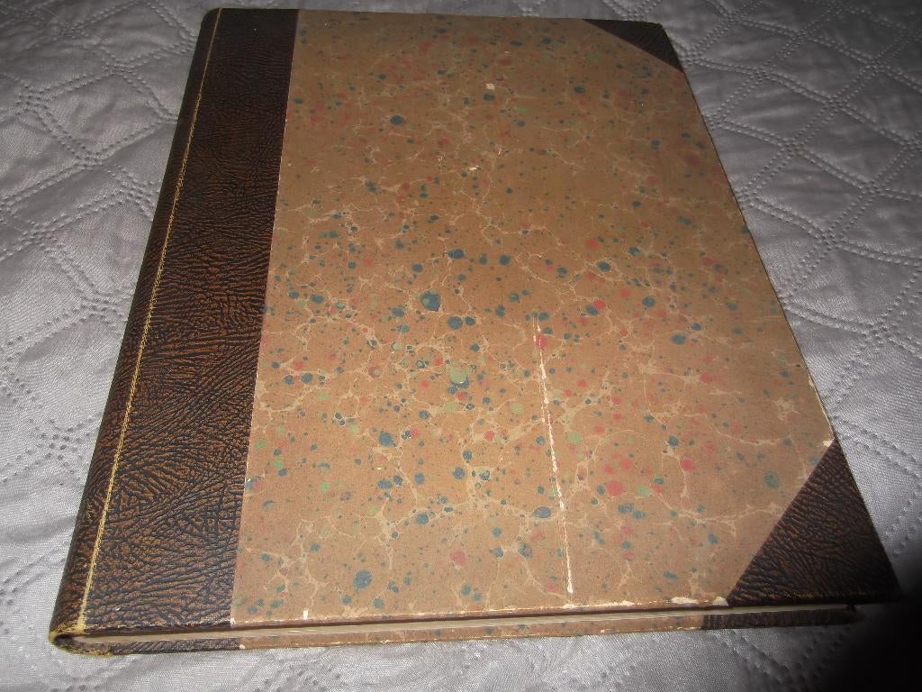 NEDERLANDSCHE TAALGIDS. WOORDENBOEK VAN BELGICISMEN, Boeken, Ophalen of Verzenden