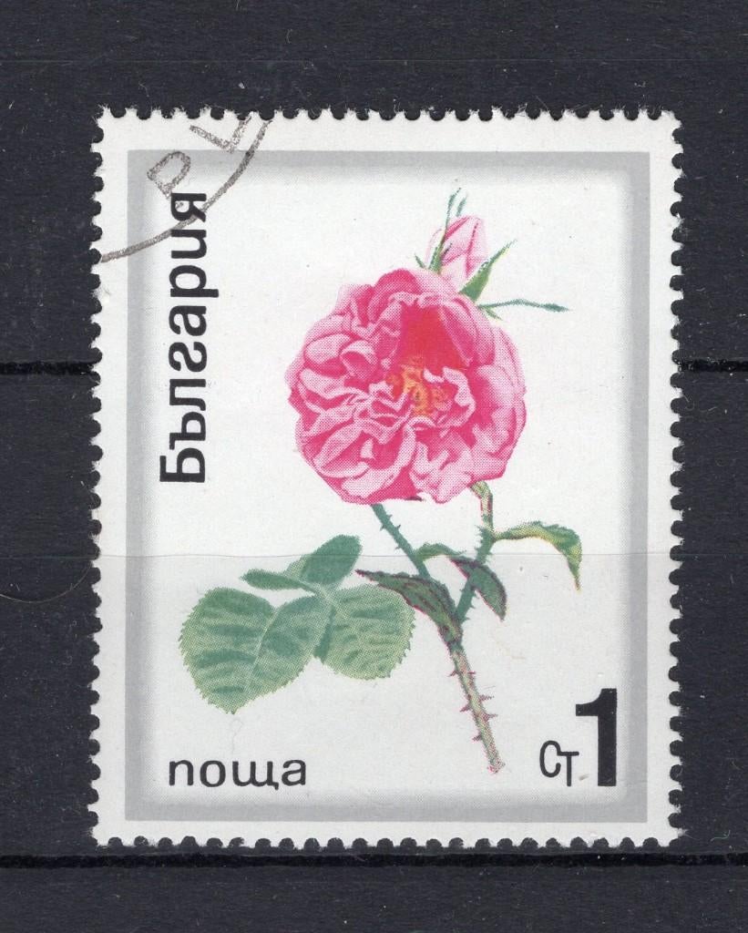 BULGARIE Yt. 1778 estampillée 1970, Enlèvement ou Envoi, Bulgarie, Affranchi