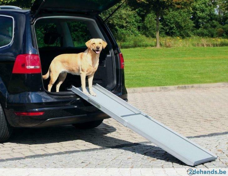 Telescopische Hondenloopplank, Dieren en Toebehoren, Ophalen, Nieuw