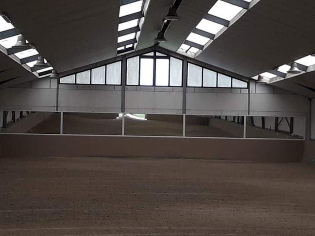 Als u een vijfsterren all in hotel zoekt voor uw paard..., Dieren en Toebehoren, Weidegang