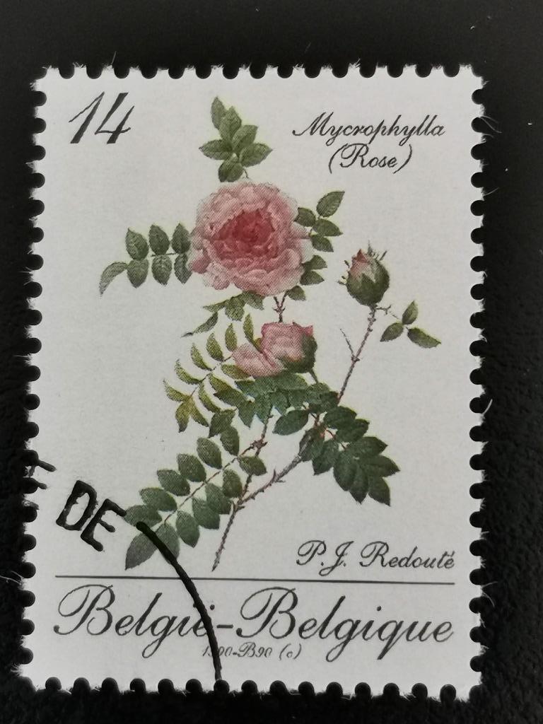 Belgie 1990 - flora - bloemen - rozen Redouté - Mycrophylla, Ophalen of Verzenden, Gestempeld, Overig