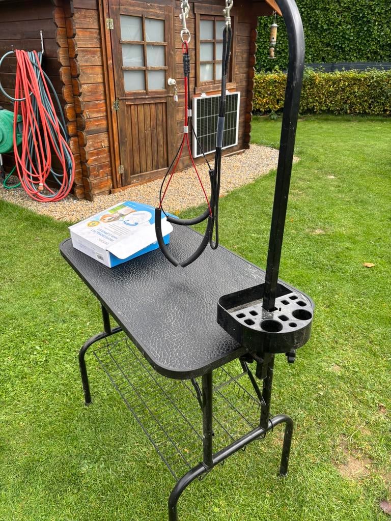 Table pour chien, Enlèvement, Utilisé