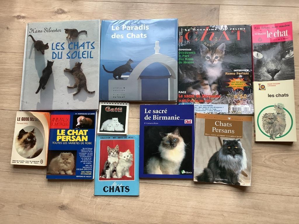 Livres sur les chats ‍, Enlèvement, Utilisé, Chats