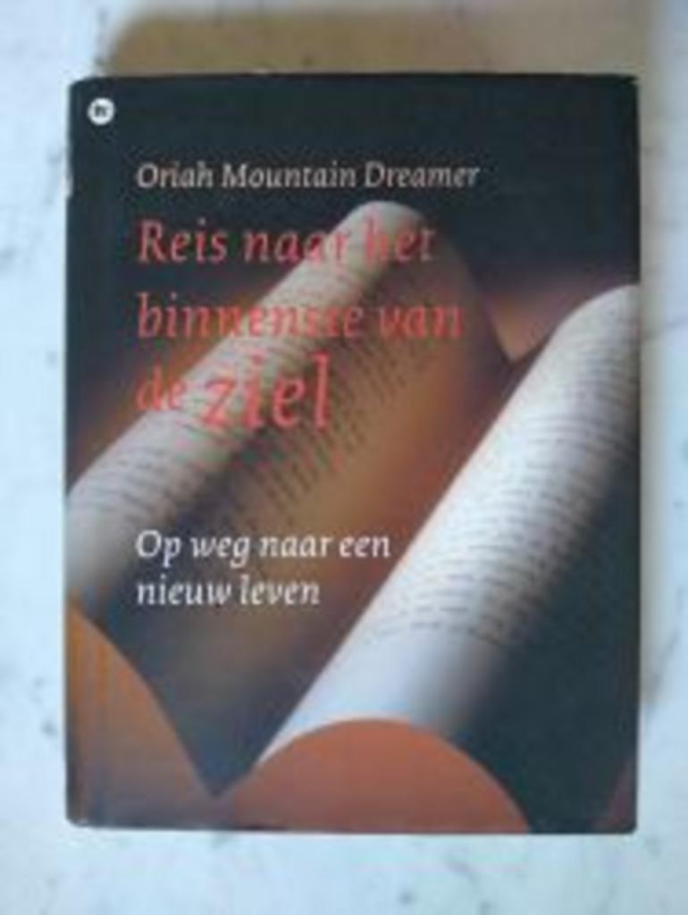Reis naar het binnenste vd ziel|Mountain Dreamer 9044300571, Boeken, Ophalen of Verzenden, Zo goed als nieuw, Zie beschrijving
