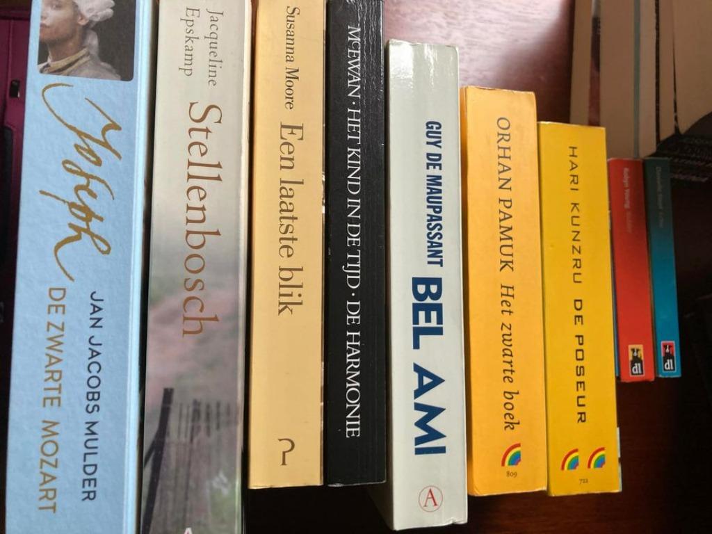 Mooie boeken Nederlandstalig - korting bij 5 of meer boeken, Ophalen of Verzenden, Gelezen