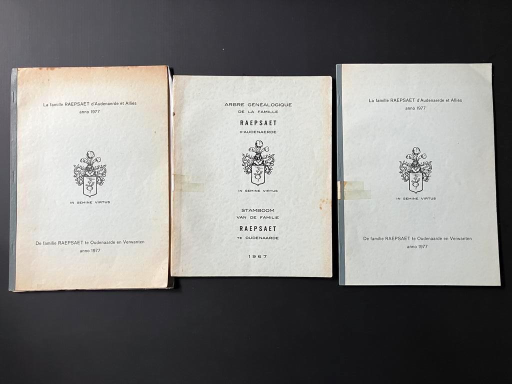 Arbre généalogique de la famille Raepsaet d' Audenarde, Enlèvement