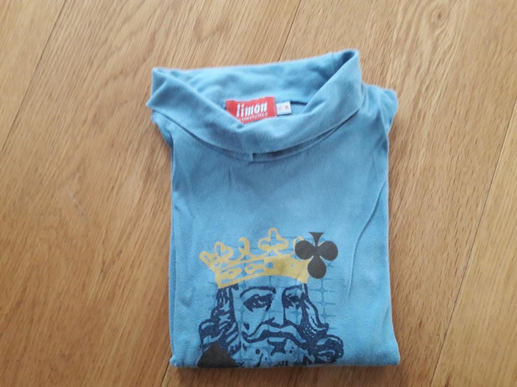 coltrui, maat 110, Kinderen en Baby's, Gebruikt, VAN HASSELS., Ophalen of Verzenden, Shirt of Longsleeve
