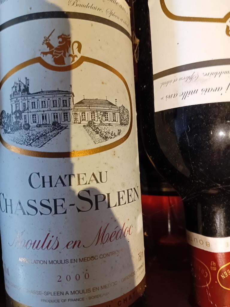 Château Chasse-Spleen 2000 Moulis et Médoc, Neuf, Enlèvement ou Envoi, Vin rouge, France
