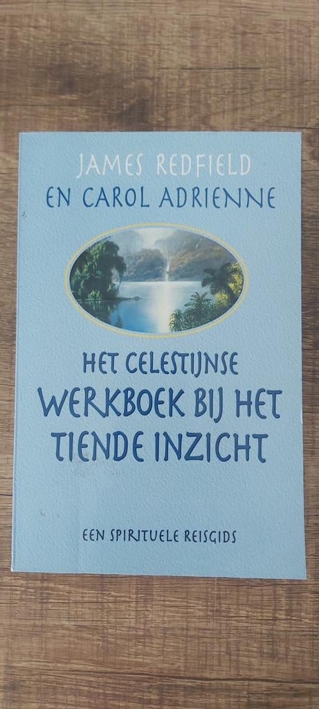 Het Celestijnse werkboek bij Het tiende inzicht, Enlèvement, James Redfield