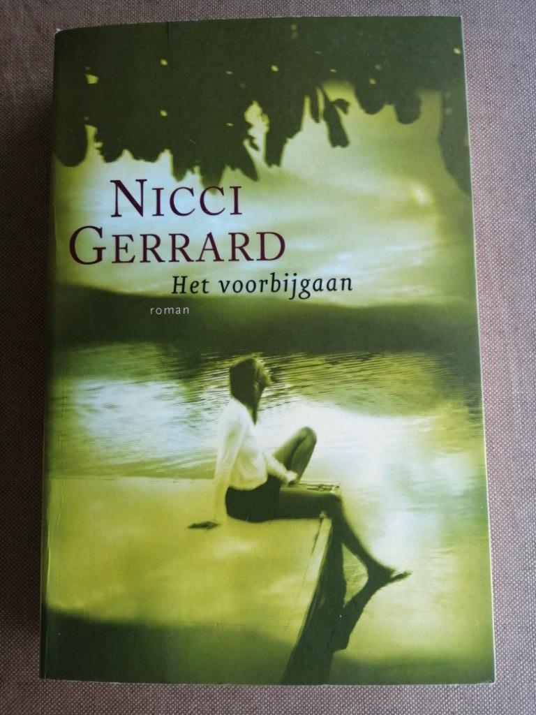 Roman: Het voorbijgaan / Nicci Gerrard, Enlèvement, Comme neuf