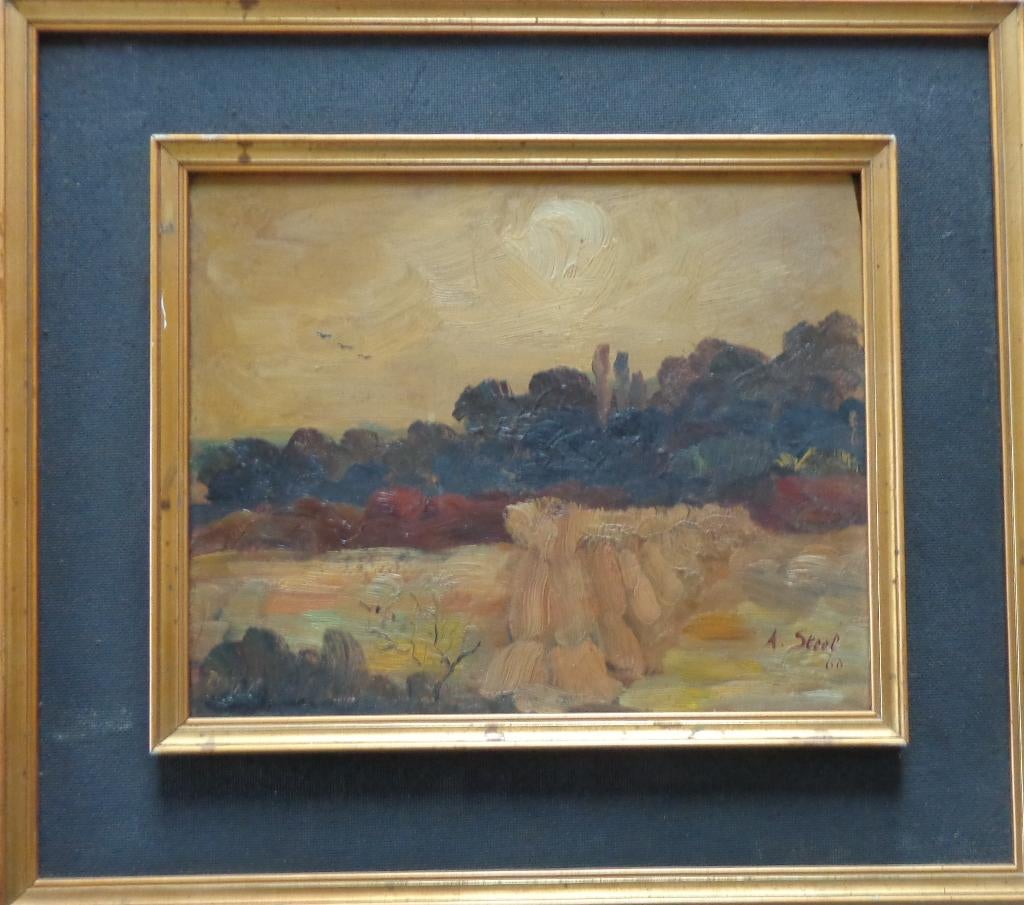 ALBERT STEEL / EXPRESSIONISME / OLIEVERF / 36x41cm / KADER, Antiek en Kunst, Ophalen of Verzenden