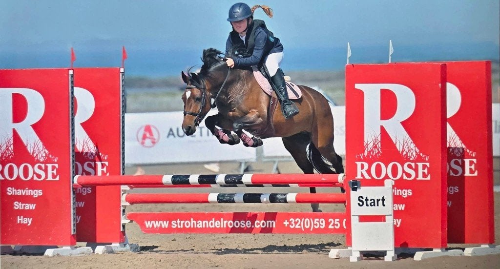 Super lieve c pony, Dieren en Toebehoren, Merrie