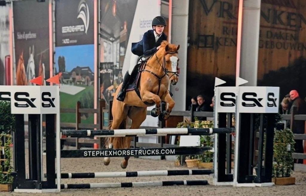 Jonge Topsportpaarden Aangeboden, Animaux & Accessoires, Chevaux, Plusieurs animaux, Ne s'applique pas, Cheval de saut, Avec pedigree