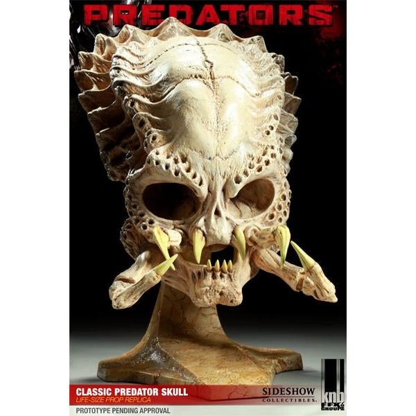 Sideshow Predator Life size skull, Collections, Enlèvement ou Envoi, Comme neuf, Film, Statue, Réplique ou Modèle