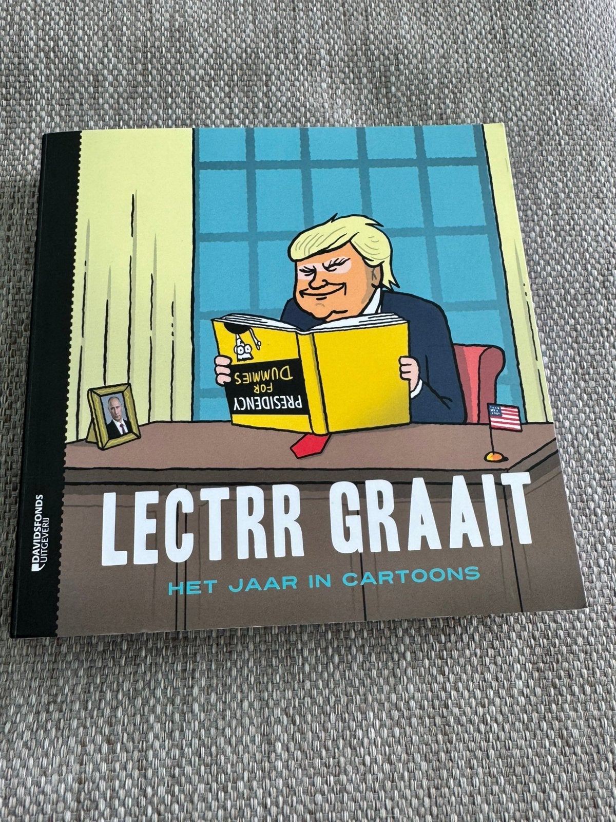 Lectrr - Lectrr graait, Boeken, Ophalen, Lectrr