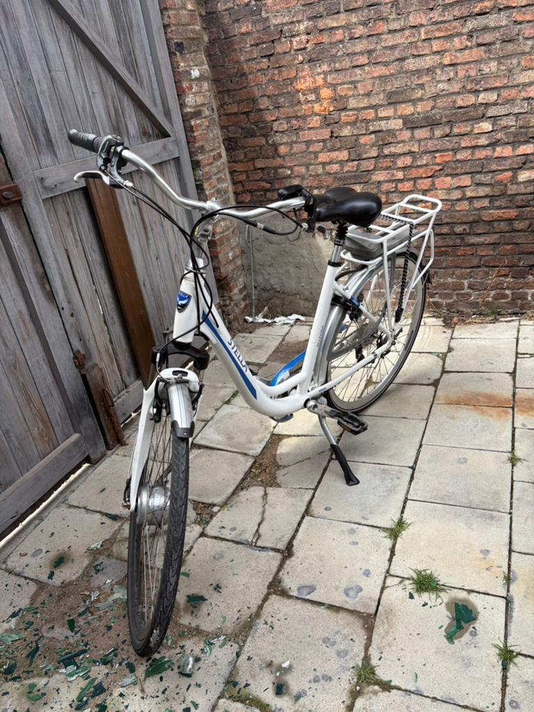 Elektrische fiets defect, Fietsen en Brommers, Ophalen, Gebruikt