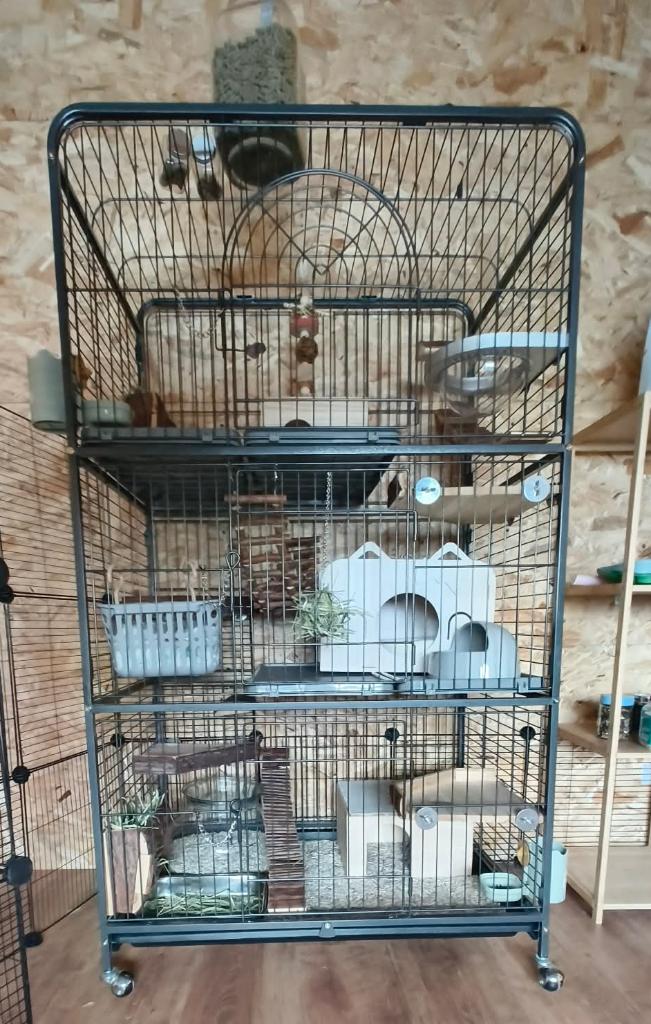 Cage pour rongeurs chinchillas, lapin nain..., Enlèvement, Comme neuf, Autres types