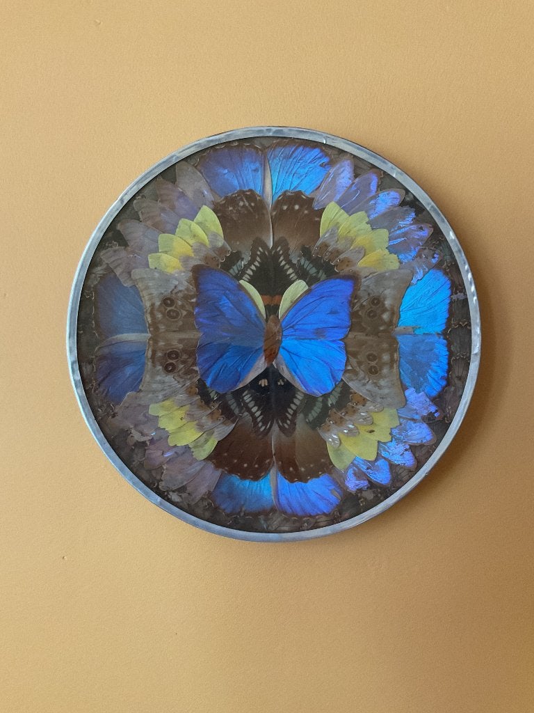 Decoratief kunstwerk, Enlèvement