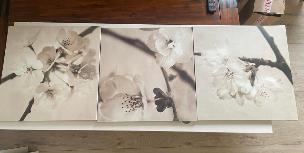 3 bloemen canvas Ikea, Enlèvement, Comme neuf