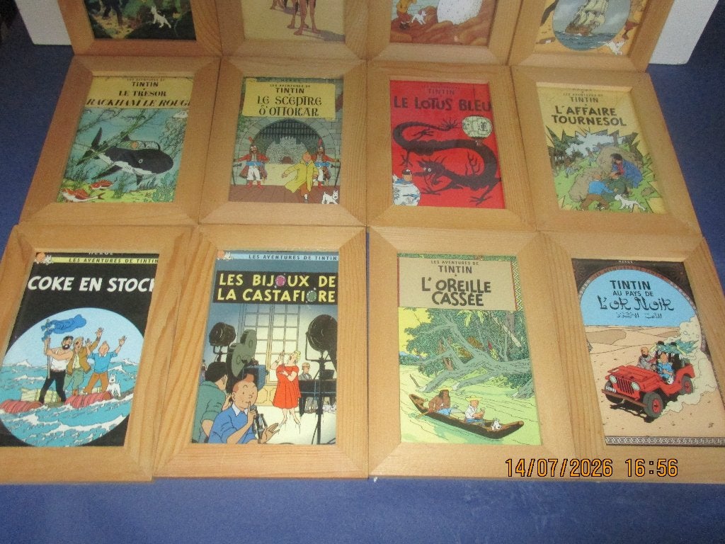 cadre bois et verres tintin  collection, Ophalen, Kuifje, Zo goed als nieuw, Overige typen