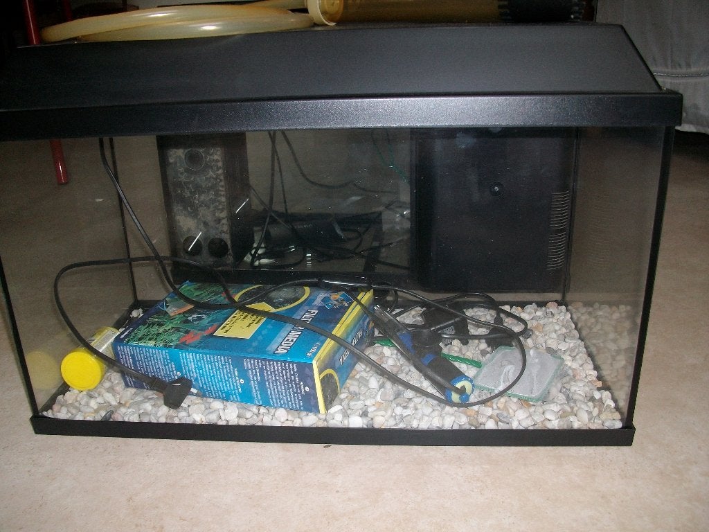 aquarium, Animaux & Accessoires, Enlèvement