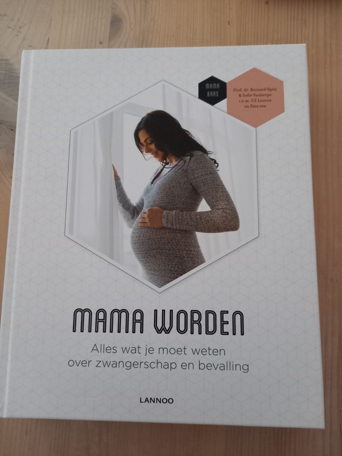 Bernard Spitz mama worden over zwangerschap en bevalling, Livres, Grossesse & Éducation, Enlèvement ou Envoi, Grossesse et accouchement