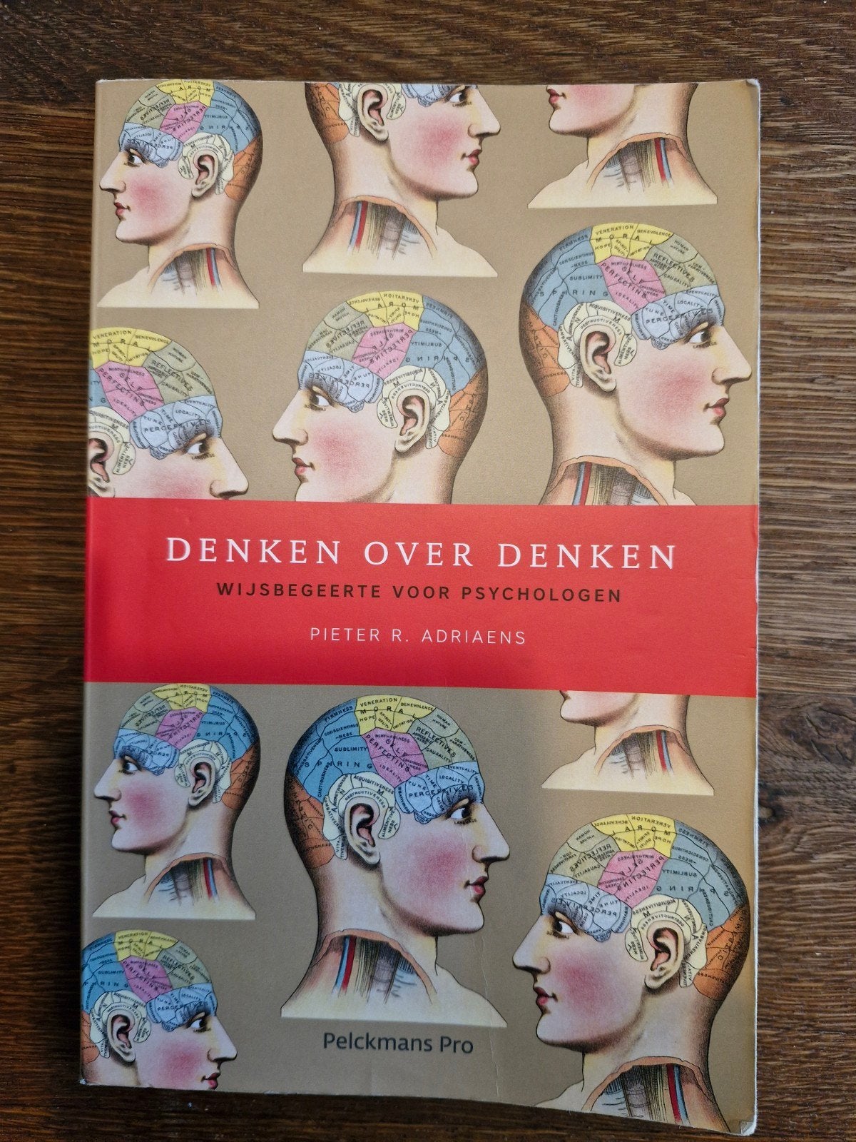Denken over denken isbn 9789463370028, Livres, Pieter R. Adriaens, Enlèvement, Utilisé, Autres sujets/thèmes