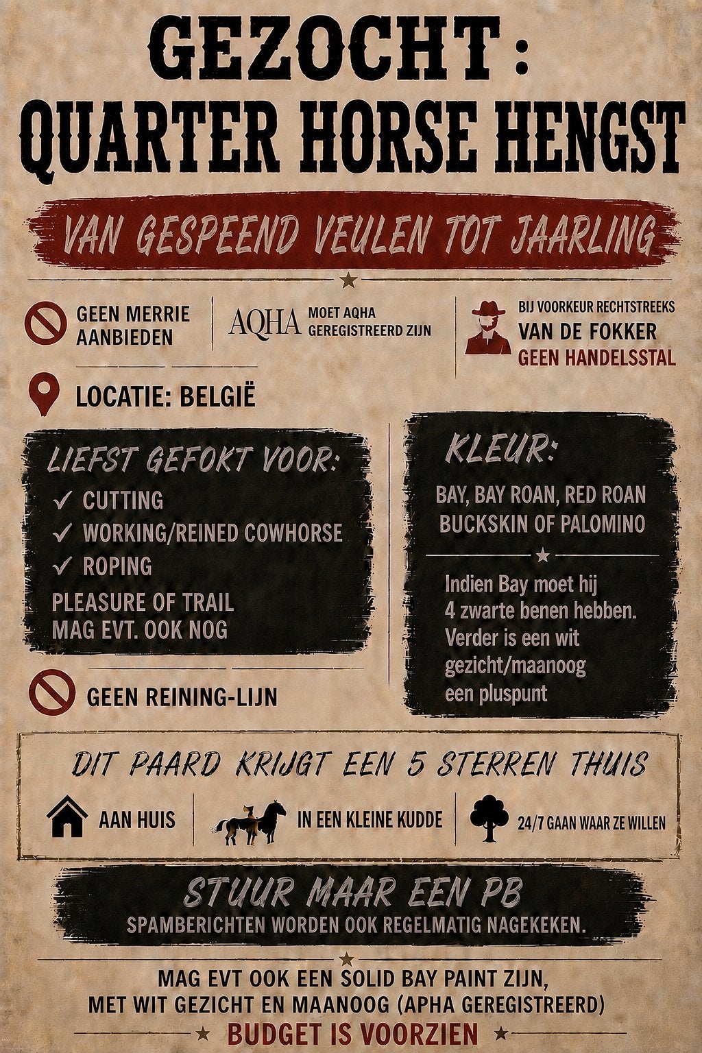 Quarter horse hengstenveulen tot jaarling gezocht, Dieren en Toebehoren, Paarden