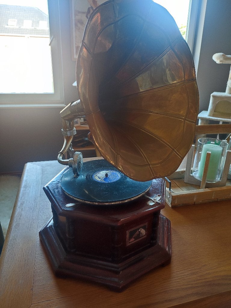 Grammofoon, Enlèvement, Utilisé, Tourne-disque, Autres marques