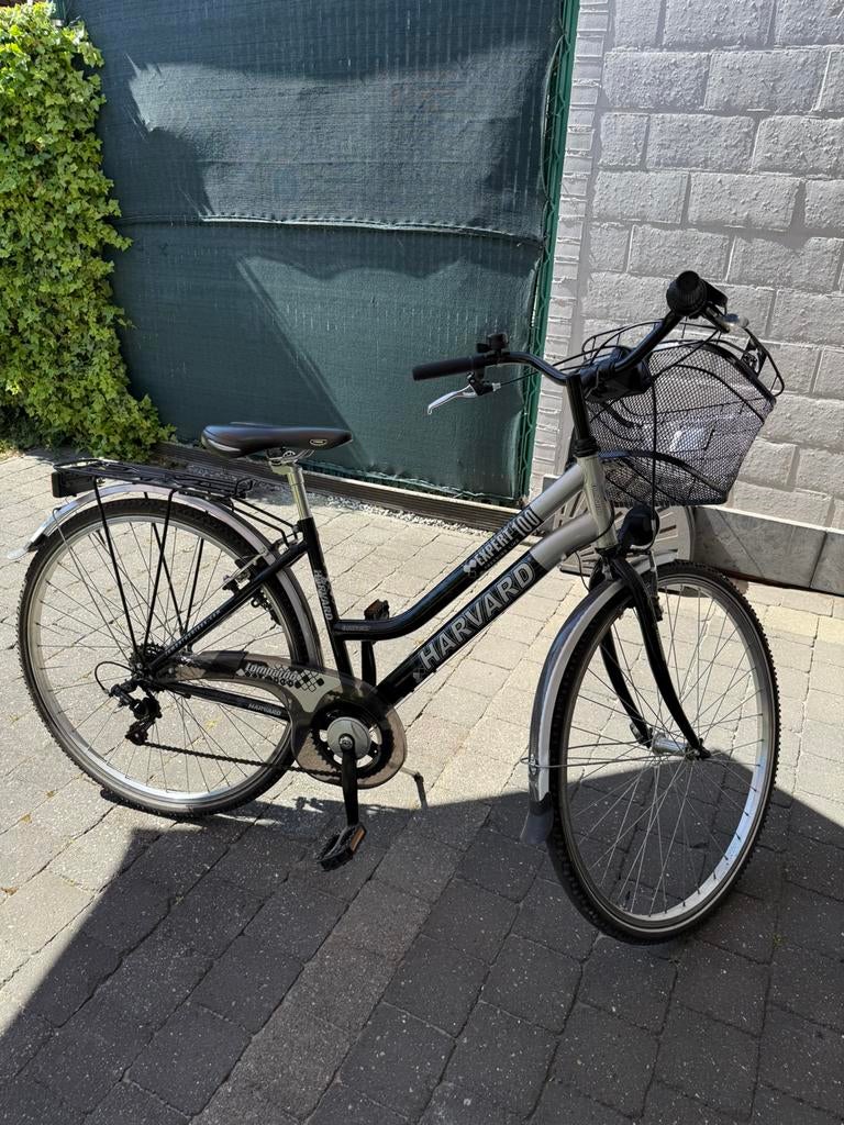 Damesfiets Harvard, Gebruikt, Velgrem, 47 tot 50 cm, Ophalen