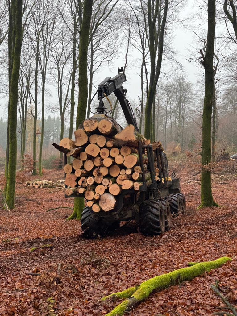 Bois de chauffage par camion complet, Jardin & Terrasse, 6 m³ ou plus, Enlèvement, Hêtre, Troncs d'arbres