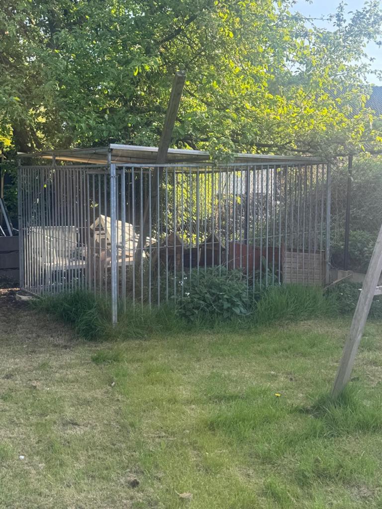 Hondenhok, hondenren, kennel, Dieren en Toebehoren, Hondenhokken, Ophalen, Hondenhok