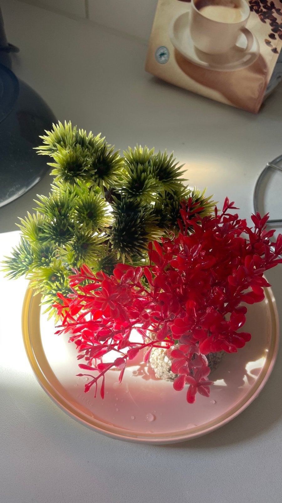 2 plastice plantjes voor in aquarium