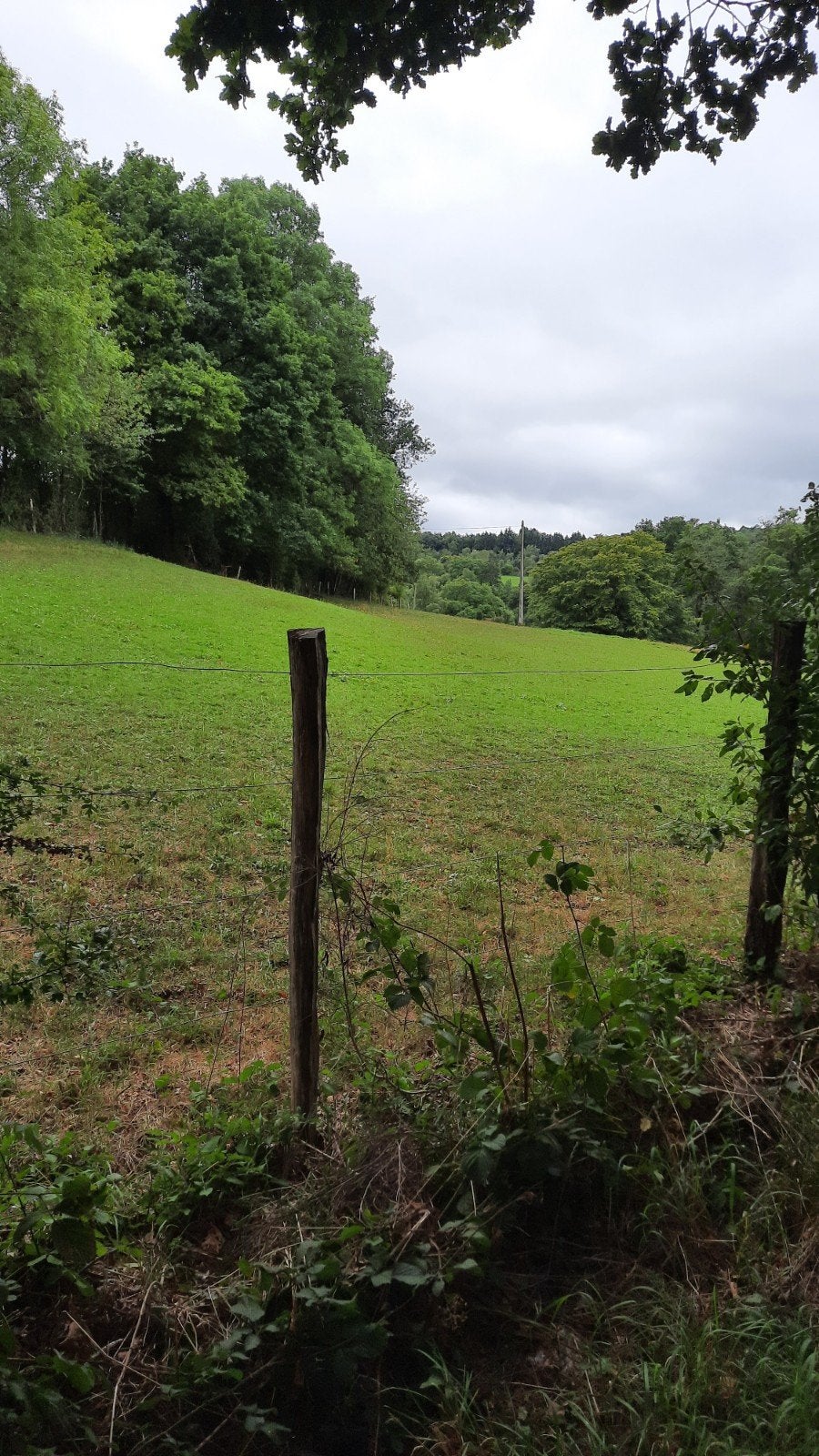 annonce toujours active pension cheval boxe prairie sur 4845