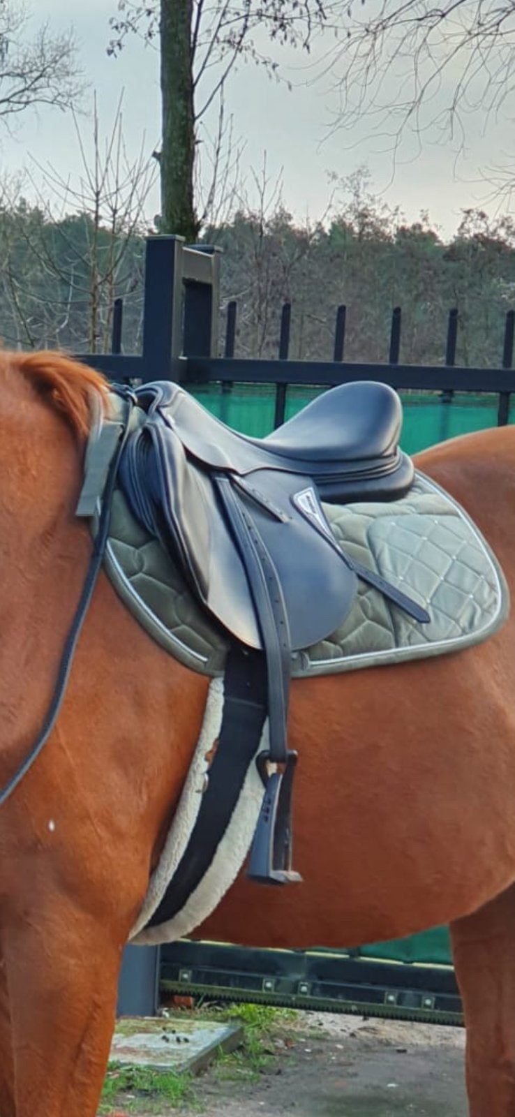 Springzadel, Animaux & Accessoires, Chevaux & Poneys | Selles, Siège semi-creux, Obstacle, Moyen, Comme neuf