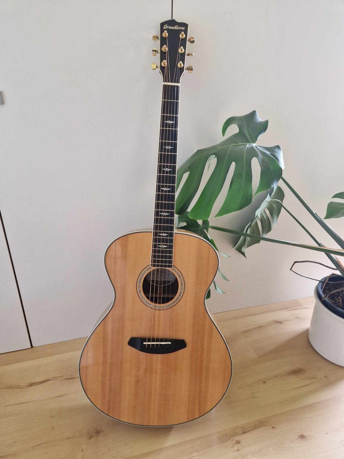 BREEDLOVE AKOESTISCHE GITAAR, Muziek en Instrumenten, Snaarinstrumenten | Gitaren | Akoestisch, Ophalen