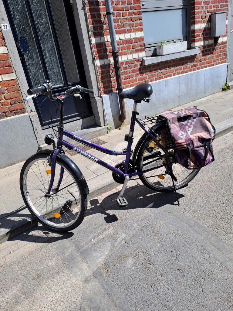 Damesfiets, Fietsen en Brommers, Ophalen
