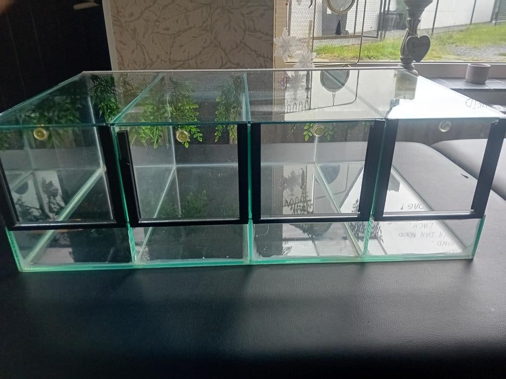 Terrarium, Dieren en Toebehoren, Ophalen