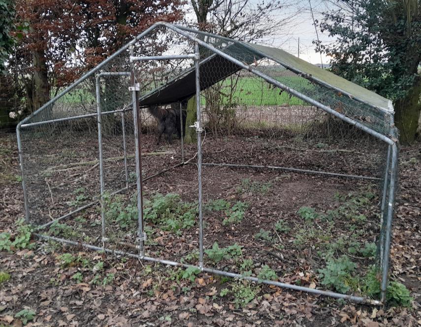 Abri métal 3x3 m, Ophalen, Overige typen, 250 tot 300 cm, Metaal