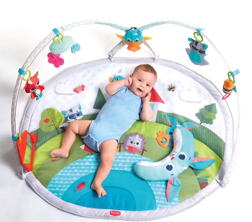 Fisher Price speelkleed baby, Kinderen en Baby's, Ophalen of Verzenden, Zo goed als nieuw, Rammelaar