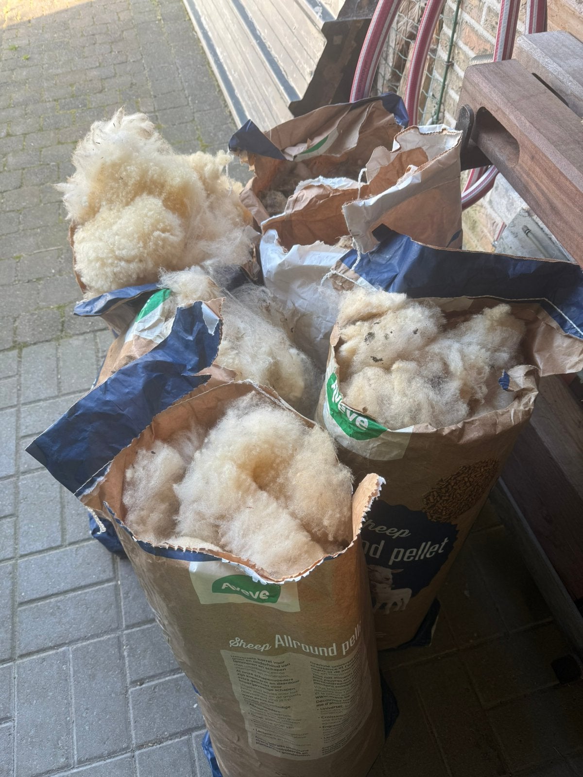 Schapenwol, Animaux & Accessoires, Moutons, Chèvres & Cochons, Plusieurs animaux, Mouton, 0 à 2 ans