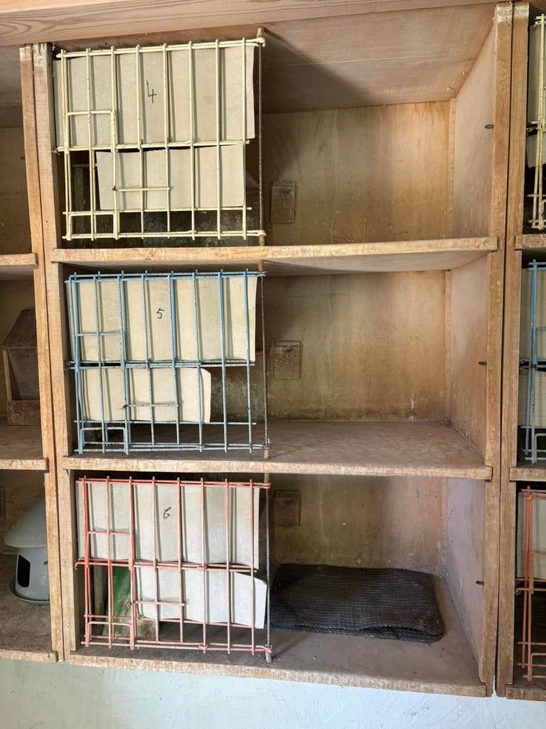 Baken, Dieren en Toebehoren